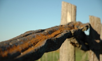 «Собственники забаррикадировали проезд»