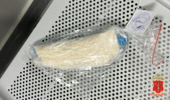 В Кудрово задержан иностранец с крупной партией наркотиков в кармане