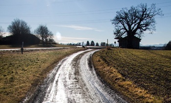 «С дорогами никто не разбирается»