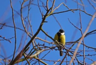 Хорошо-то как, Настенька! Прогноз погоды в СПб и Ленобласти