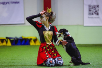 Спортивные выходные в Ленобласти: к маю на всех скоростях