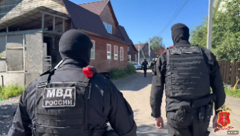 Полиция провела масштабную проверку таборов во Всеволожском районе