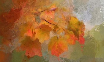 «Осень вдохновила меня на творчество»