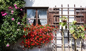 «Домик окнами в сад…»