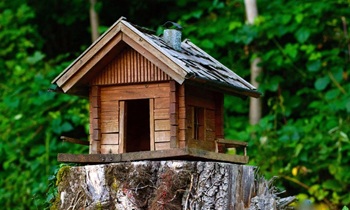 Фантазия облагородила пространства