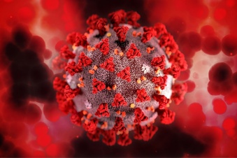 Коронавирус в Ленобласти: за последние сутки выявлено 350 новых случаев
