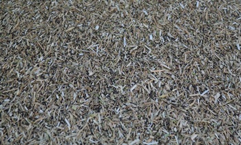 «Меня провели на мякине!»