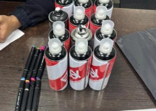 В СПб задержаны уличные «художницы» из Мурино