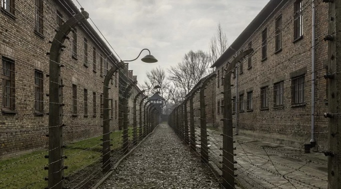 В Ленобласти возбудили дело по факту отрицания Холокоста