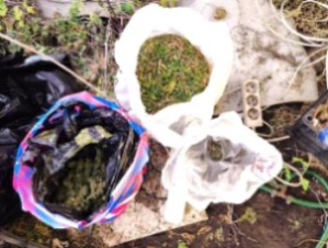 У жителя деревни Низовская нашли пакеты с марихуаной