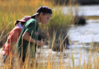 Дети в защиту животного мира