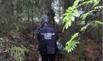 Задержан убийца мужчины, найденного в Ржевском лесопарке