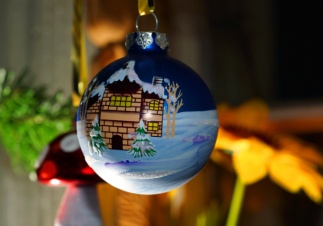 Новоселье под елочку