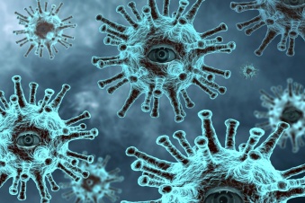 Коронавирус в Ленобласти: за последние сутки выявлено 369 новых случаев