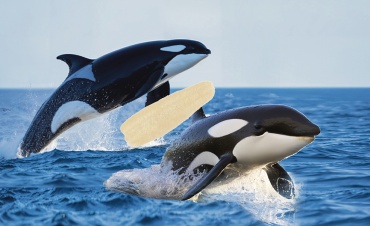 Потрите, пожалуйста, спинку!