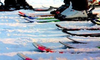 Новодевяткинские лыжники показали отличные результаты 