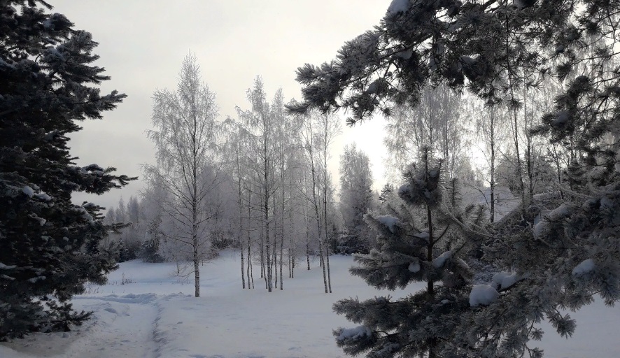 Погода в СПб и Ленобласти на три дня, 13-15 февраля