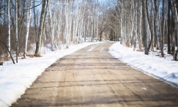 Дороге в Ушаках нужен тротуар 