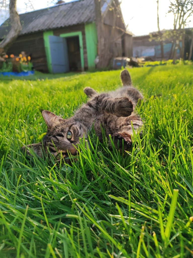 Наталья Шагова.jpg