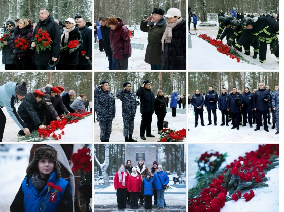 оал.jpg оал.jpg