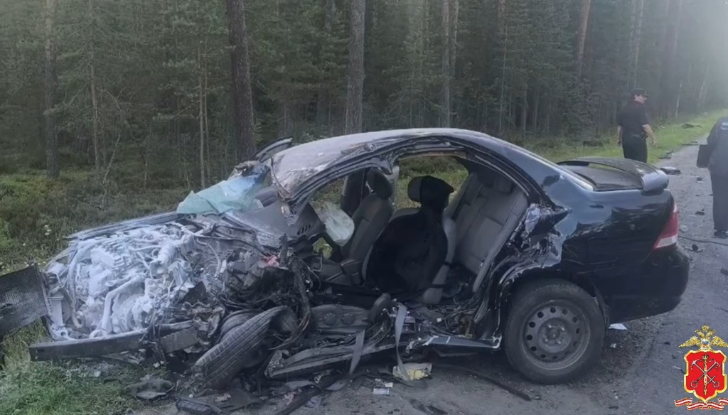 смертельное дтп в Приозерском.jpg смертельное дтп в Приозерском.jpg