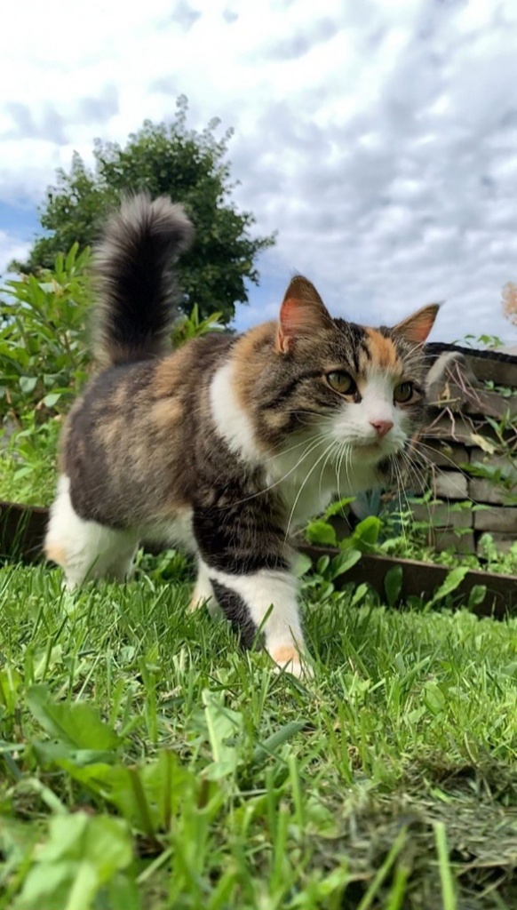 Алёна Иванова.jpg