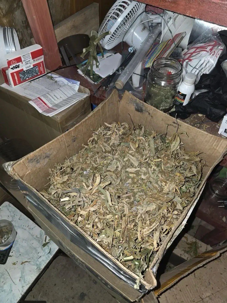 более 6 кг наркотика_2.JPG